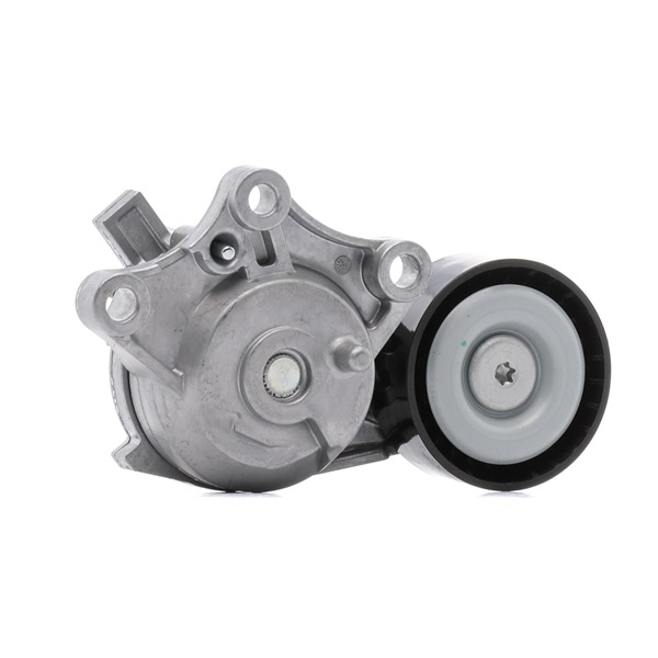Compre Rolo tensor, correia trapezoidal estriada da RIDEX 310T0653 a um preço baixo por 40,09 €