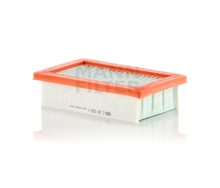 Köp Luftfilter av MANN-FILTER C 22 033/1 till det låga priset 208,25 kr