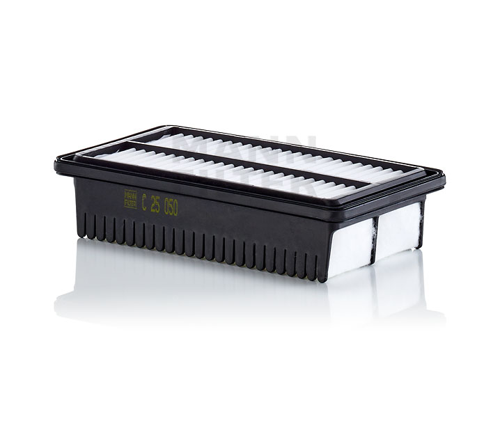 Luftfilter C 25 050