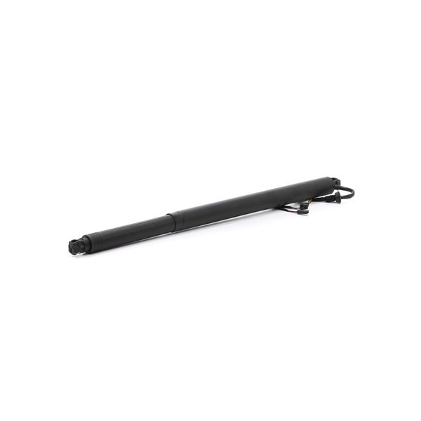 Heckklappe-Motor AE-SK-030 von NTY günstig für 106,96 € online kaufen