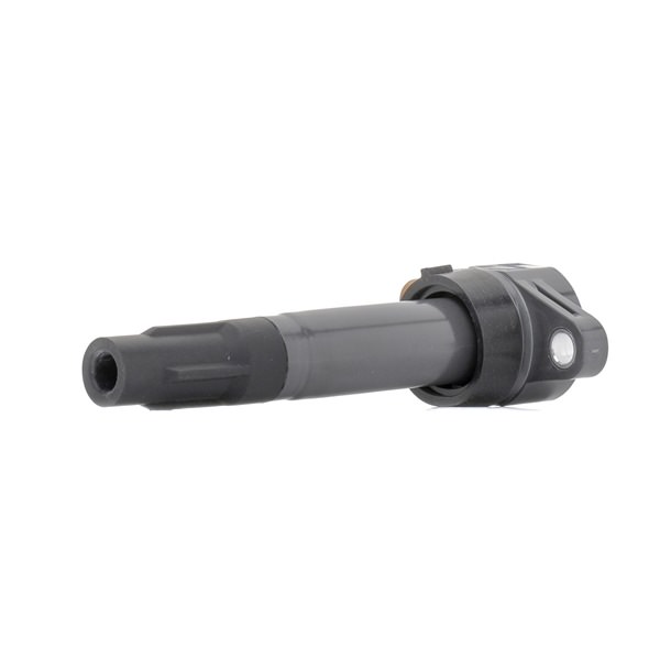 Compre Bobina de ignição da RIDEX 689C0461 a um preço baixo por 18,44 €