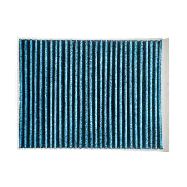 Køb Pollenfilter af RIDEX PLUS 424I0536P til den lave pris 151,21 DKK