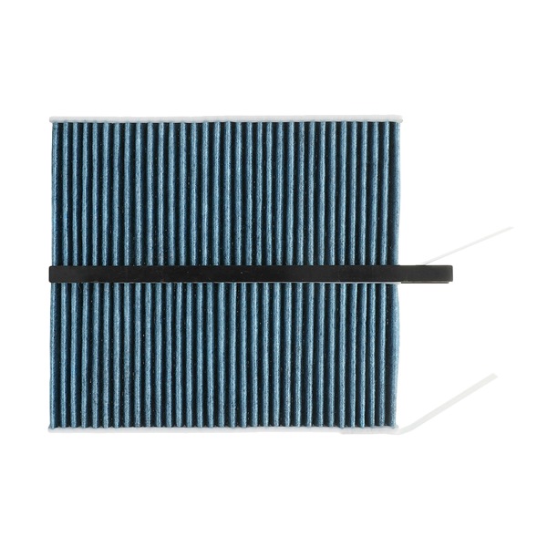Køb Pollenfilter af RIDEX PLUS 424I0629P til den lave pris 176,81 DKK