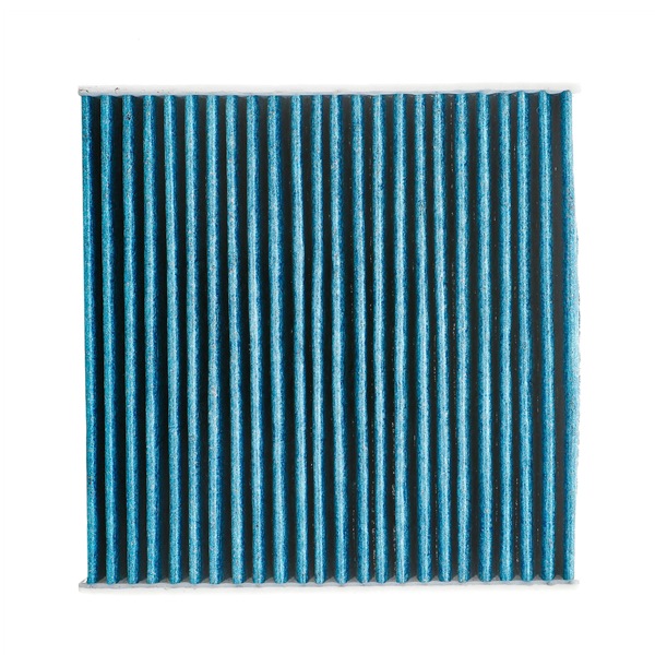 Køb Pollenfilter af RIDEX PLUS 424I0603P til den lave pris 223,24 DKK