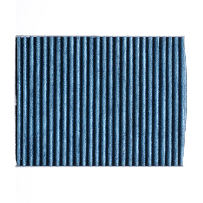 Innenraumfilter 424I0545P