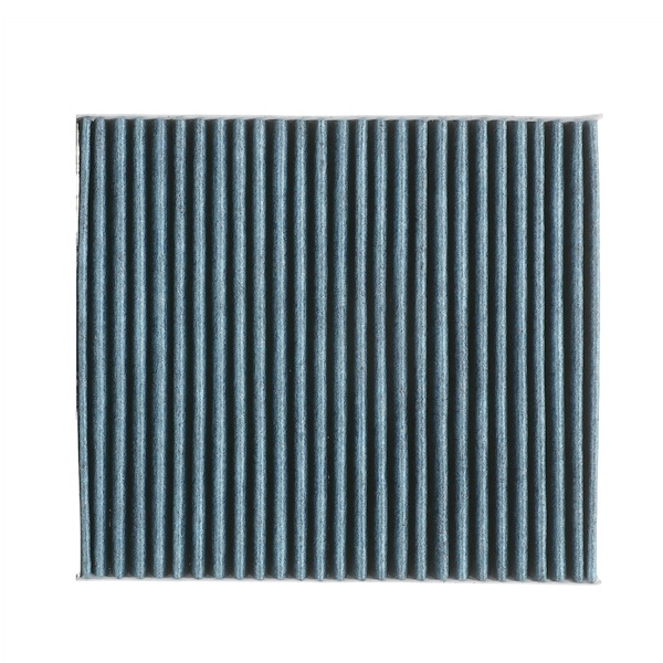Køb Pollenfilter af RIDEX PLUS 424I0613P til den lave pris 46,12 DKK
