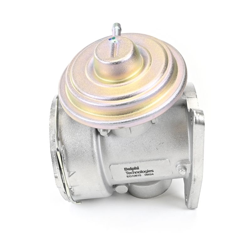 Comprar Válvula EGR de DELPHI EG10615-12B1 a bajo precio de 73,21 €