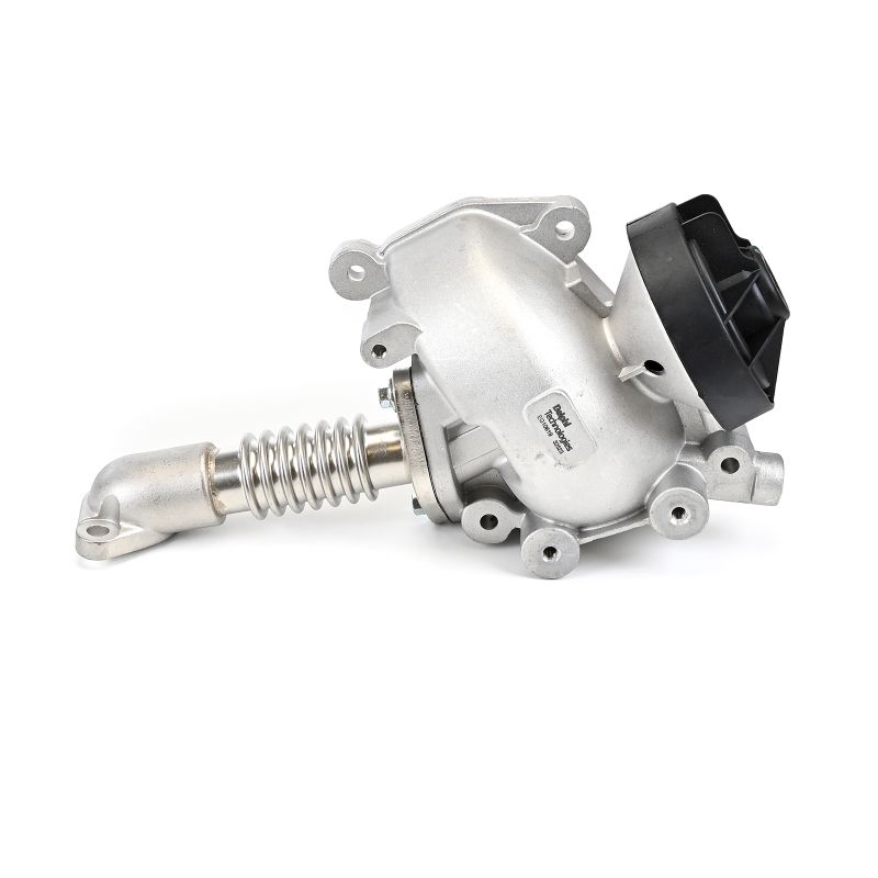 Comprar Válvula EGR de DELPHI EG10619-12B1 a bajo precio de 117,97 €