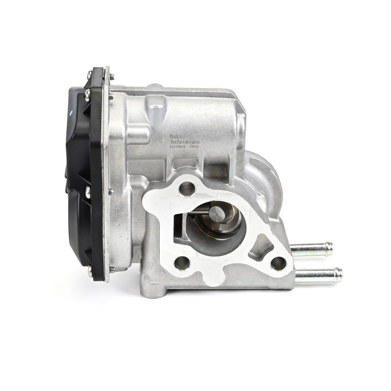 Acquista Valvola EGR da DELPHI EG10624-12B1 a buon mercato per soli 184,08 €