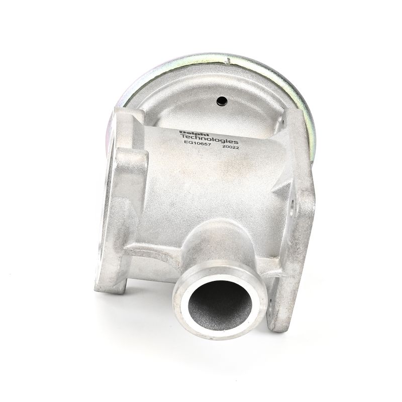 Comprar Válvula EGR de DELPHI EG10657-12B1 a bajo precio de 83,09 €