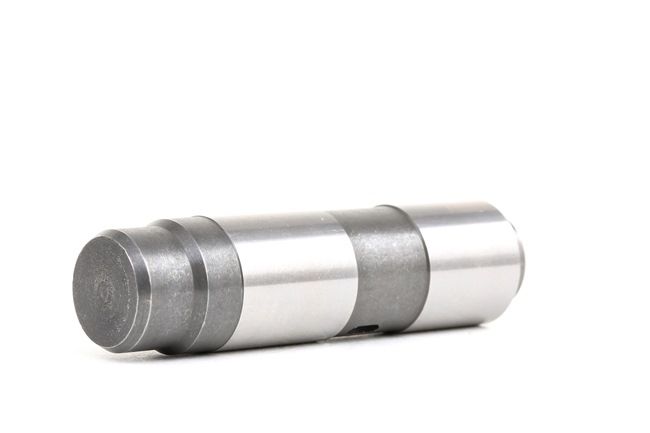 Steuerkettenspanner für BMW von FEBI BILSTEIN