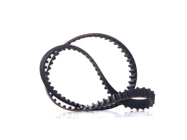 Acquista Cinghia dentata da FEBI BILSTEIN 11229 a buon mercato per soli 14,80 €