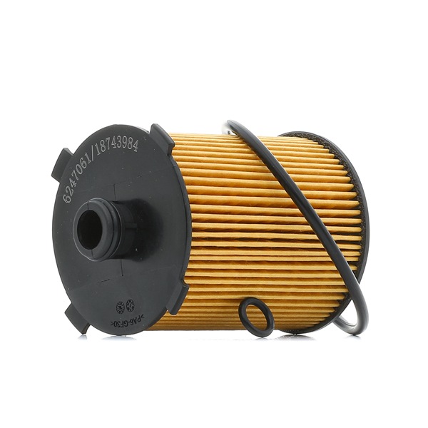 Køb Oliefilter af RIDEX PLUS 7O0199P til den lave pris 79,01 DKK