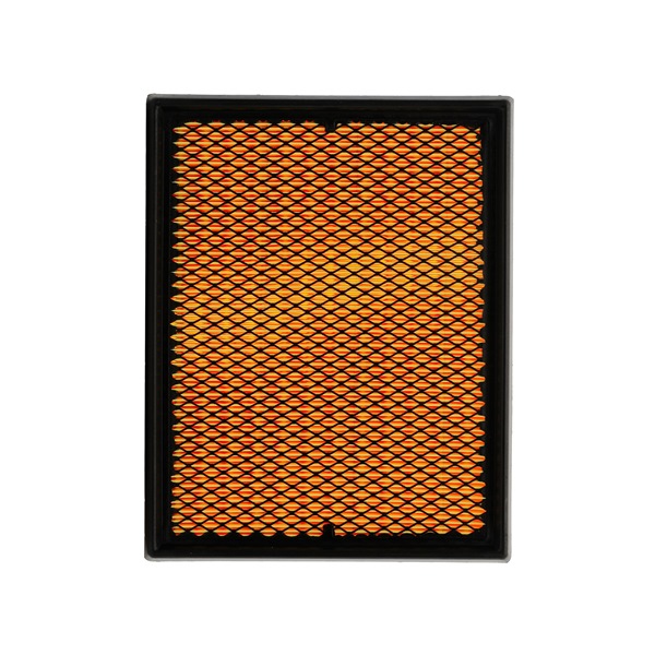 Compre Filtro de ar da RIDEX PLUS 8A0007P a um preço baixo por 13,09 €