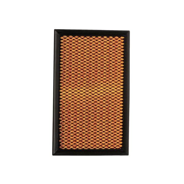 Köp Luftfilter av RIDEX PLUS 8A0277P till det låga priset 172,14 kr