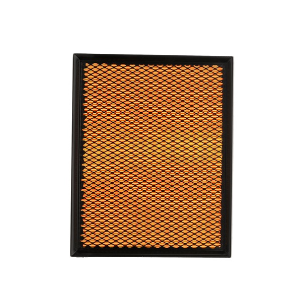 Køb Luftfilter af RIDEX PLUS 8A0005P til den lave pris 78,46 DKK