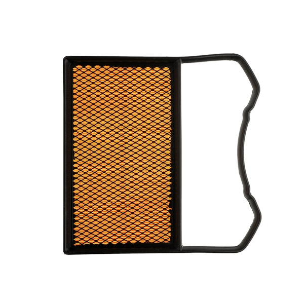 Compre Filtro de ar da RIDEX PLUS 8A0286P a um preço baixo por 13,39 €