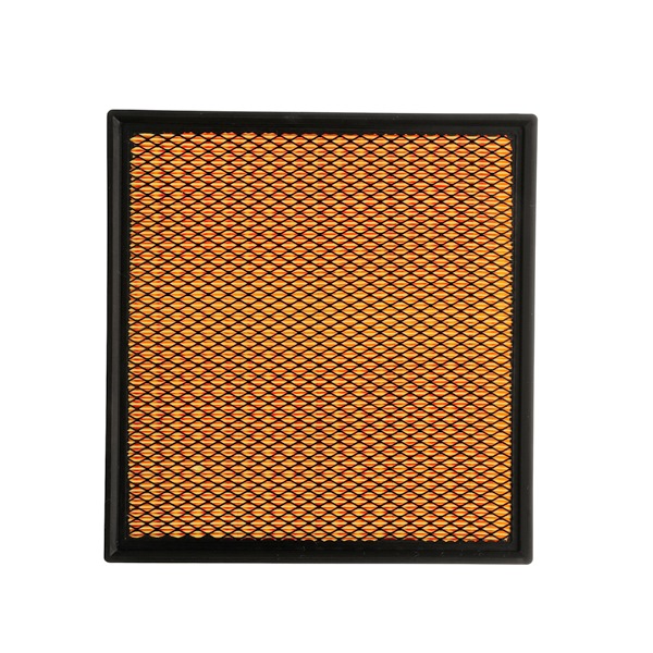 Køb Luftfilter af RIDEX PLUS 8A0117P til den lave pris 113,66 DKK