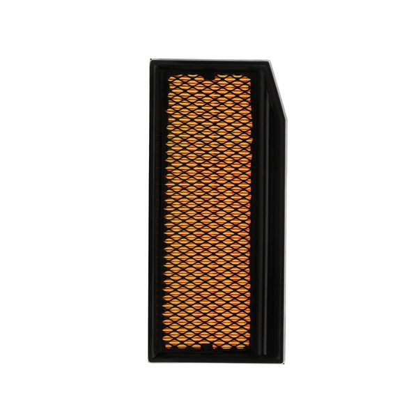 Køb Luftfilter af RIDEX PLUS 8A1622P til den lave pris 99,85 DKK