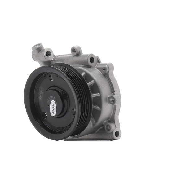 Wasserpumpe WPS3186