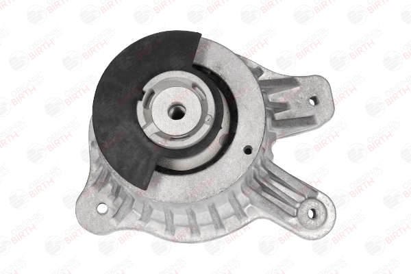 Motorlager 53543 von BIRTH günstig für 83,40 € online kaufen
