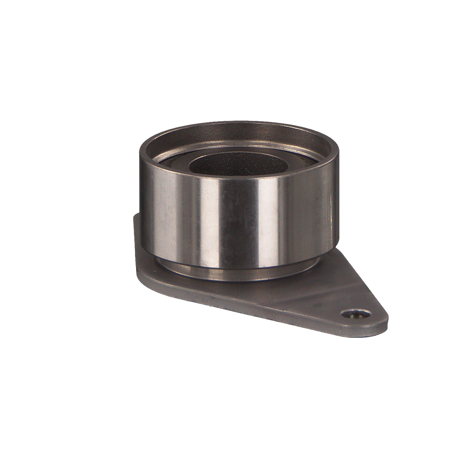 Acquista Galoppino / Guidacinghia, Cinghia dentata da FEBI BILSTEIN 19471 a buon mercato per soli 45,62 €