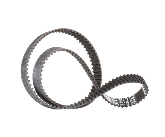 Acquista Cinghia dentata da FEBI BILSTEIN 19546 a buon mercato per soli 22,54 €