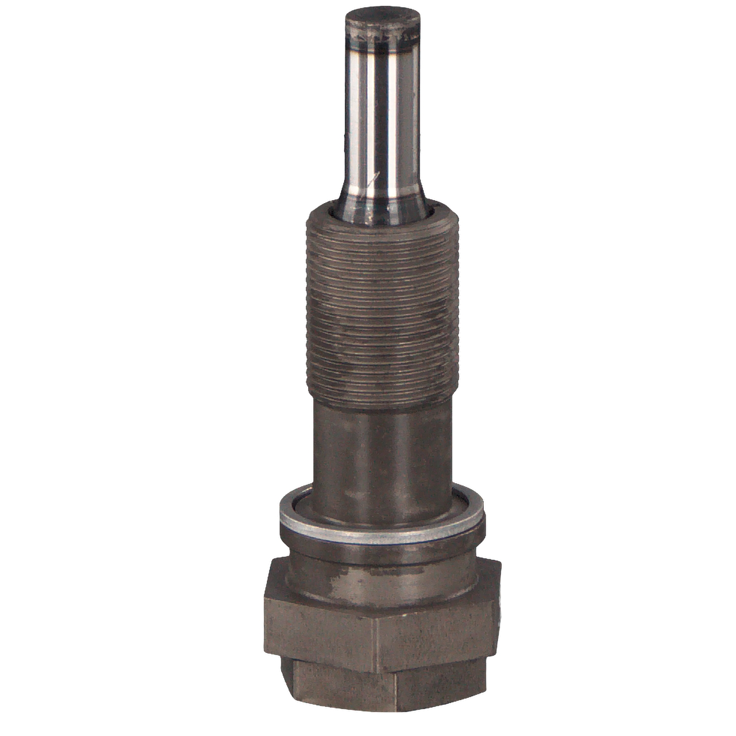 Compre Tensor de cadena de distribución de FEBI BILSTEIN online para Clase S Coupé (C215) a precios moderados