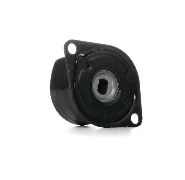 Acquista online FEBI BILSTEIN Tenditore cinghia servizi Art.: 27814