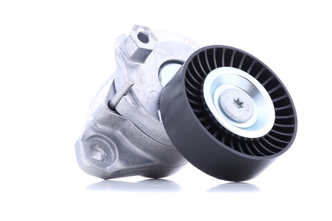 Compre Tensor de la correa trapecial poli v de FEBI BILSTEIN online para Clase S Coupé (C216) a precios moderados