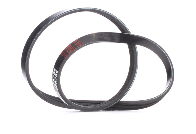 Original FEBI BILSTEIN Keilrippenriemen online kaufen