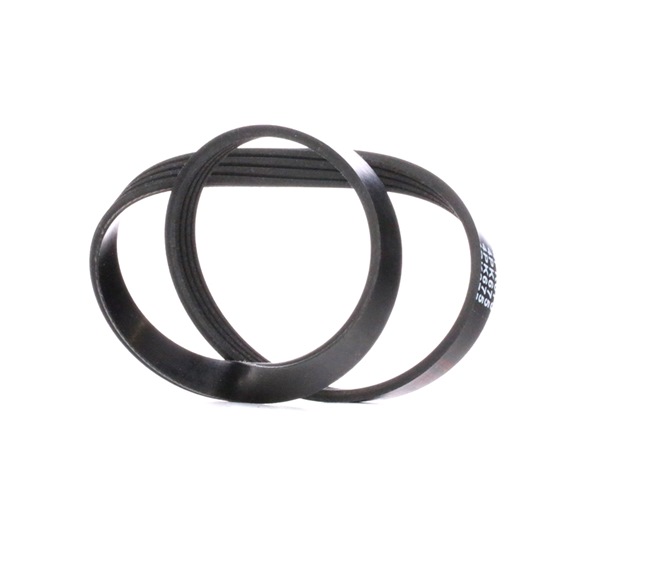 Acquista Cinghia servizi da FEBI BILSTEIN 28767 a buon mercato per soli 5,10 €