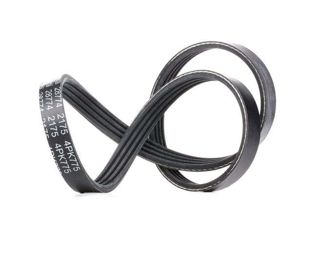 Acquista Cinghia servizi da FEBI BILSTEIN 28774 a buon mercato per soli 7,09 €