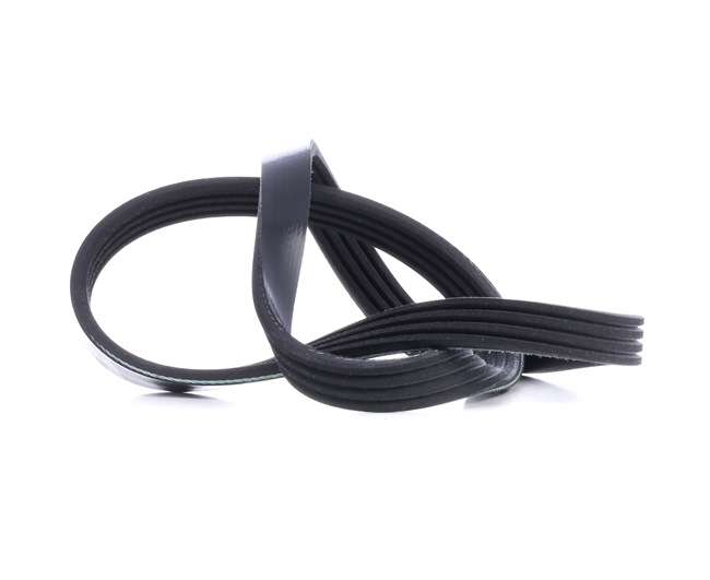 Acquista Cinghia servizi da FEBI BILSTEIN 28775 a buon mercato per soli 5,50 €