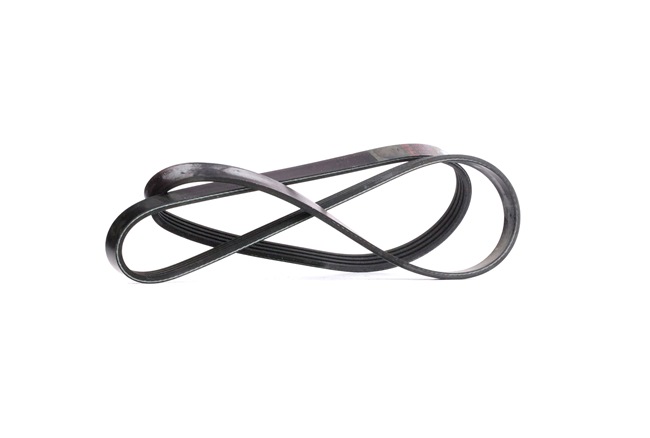 Acquista Cinghia servizi da FEBI BILSTEIN 28810 a buon mercato per soli 8,72 €