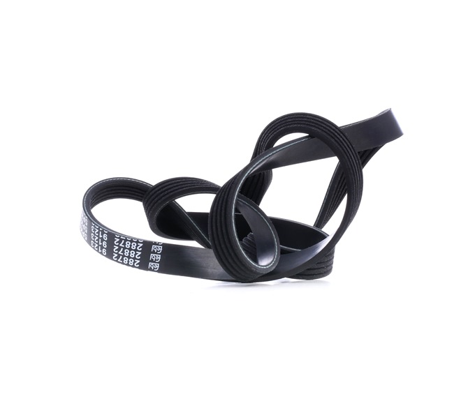 Compre FEBI BILSTEIN Correia trapezoidal estriada Art.: 28872 online