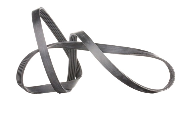 Compre Correia trapezoidal estriada da FEBI BILSTEIN 28881 a um preço baixo por 12,83 €