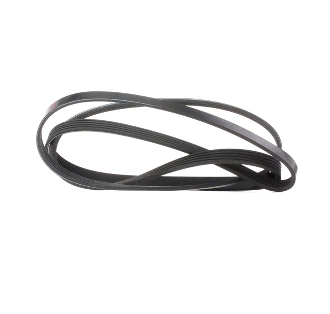 Acquista online FEBI BILSTEIN Cinghia servizi Art.: 28886