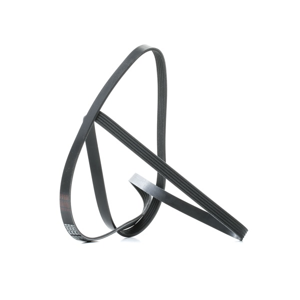 Achetez des FEBI BILSTEIN Courroie Poly-V Art.: 28888 en ligne