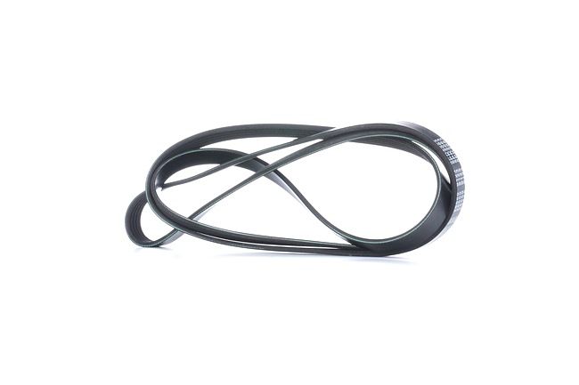 Online Shop für Keilrippenriemen von FEBI BILSTEIN EAN: 4027816288893