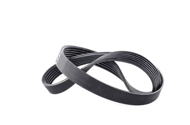Acquista Cinghia servizi da FEBI BILSTEIN 28905 a buon mercato per soli 9,20 €