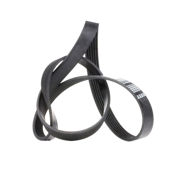Compre Correia trapezoidal estriada da FEBI BILSTEIN 28927 a um preço baixo por 9,45 €