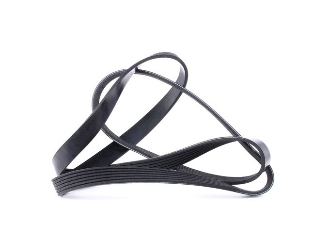 Compre Correia trapezoidal estriada da FEBI BILSTEIN 28956 a um preço baixo por 14,84 €