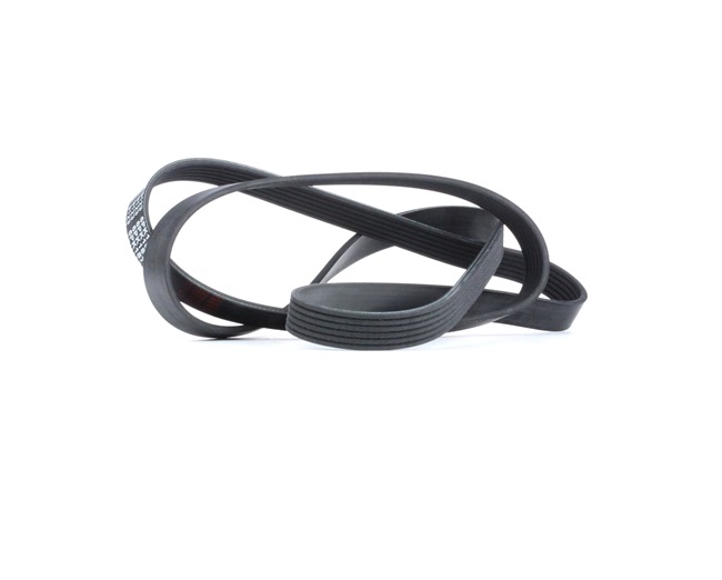 Compre Correia trapezoidal estriada da FEBI BILSTEIN 28986 a um preço baixo por 13,06 €