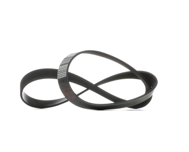 Acquista Cinghia servizi da FEBI BILSTEIN 29054 a buon mercato per soli 14,08 €