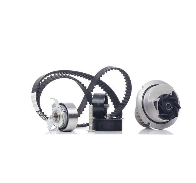 Acquista Kit cinghia distribuzione, pompa acqua da FEBI BILSTEIN 32719 a buon mercato per soli 98,43 €