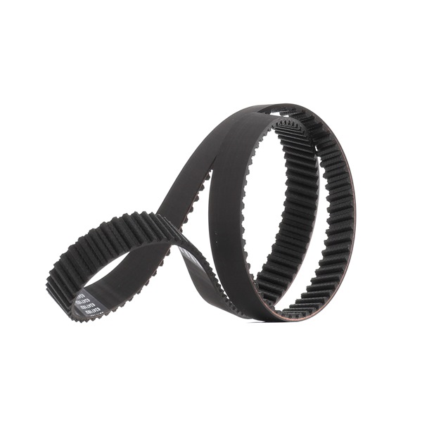 Achetez des Courroie de distribution RIDEX PLUS 306T0053P à prix pour 26,37 €