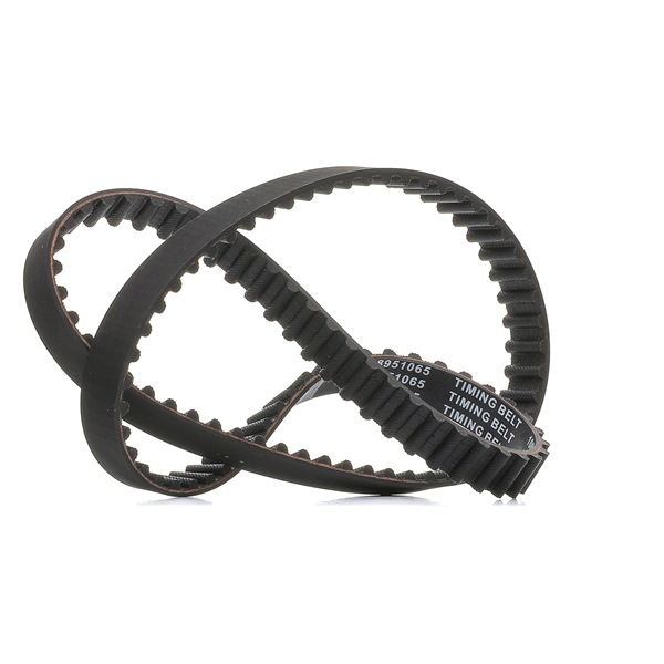 Zahnriemen 306T0066P