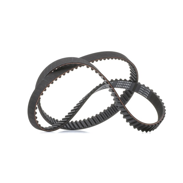 Zahnriemen 306T0042P
