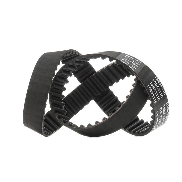 Zahnriemen 306T0088P